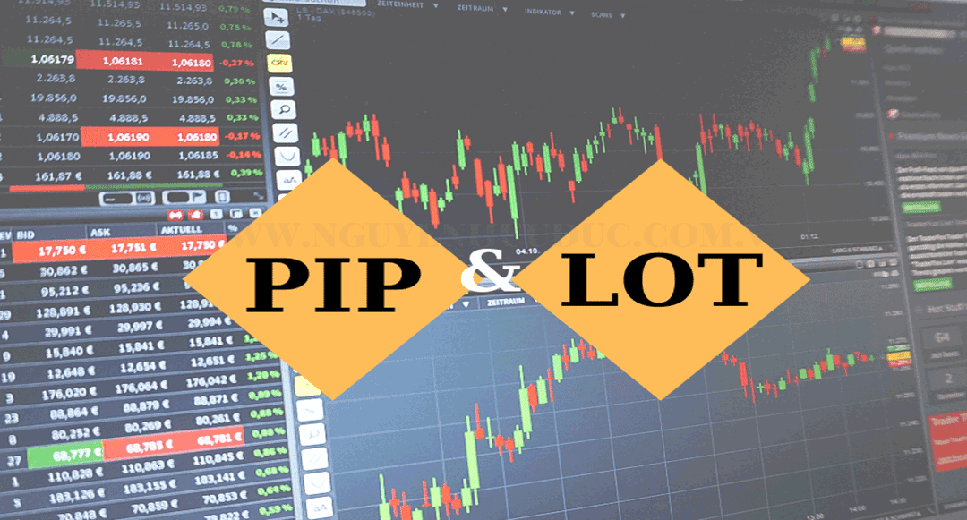 Pip và Lot trong Forex