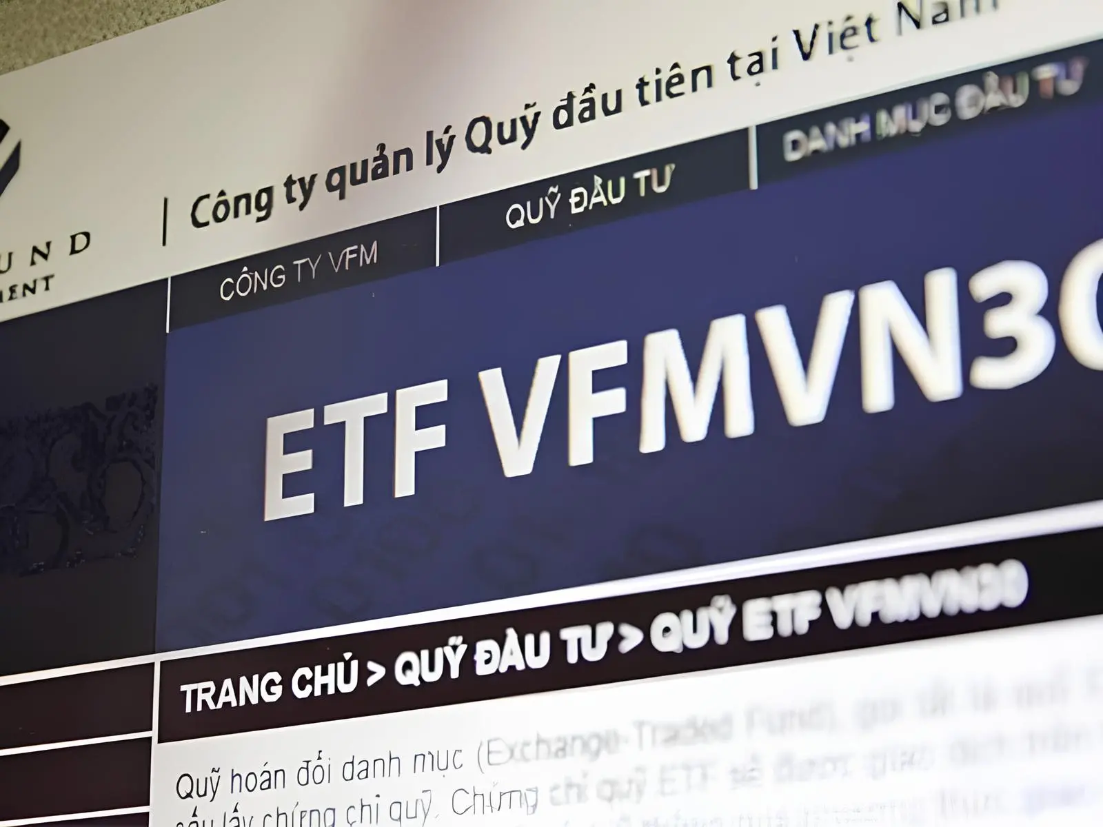 Quỹ VFMVN30
