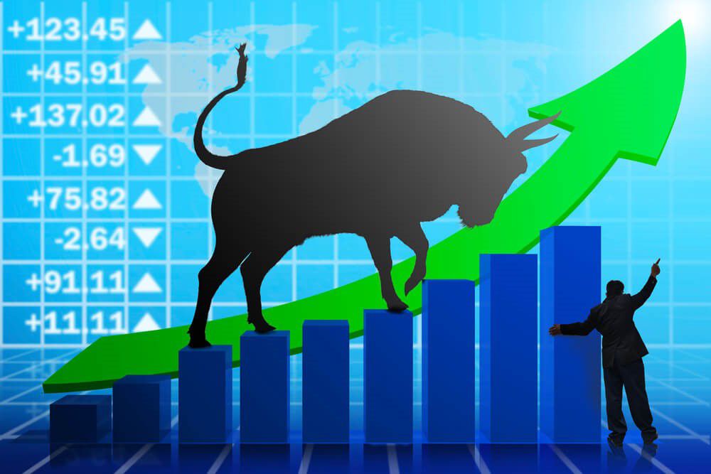 Thị trường con bò” (Bull market)