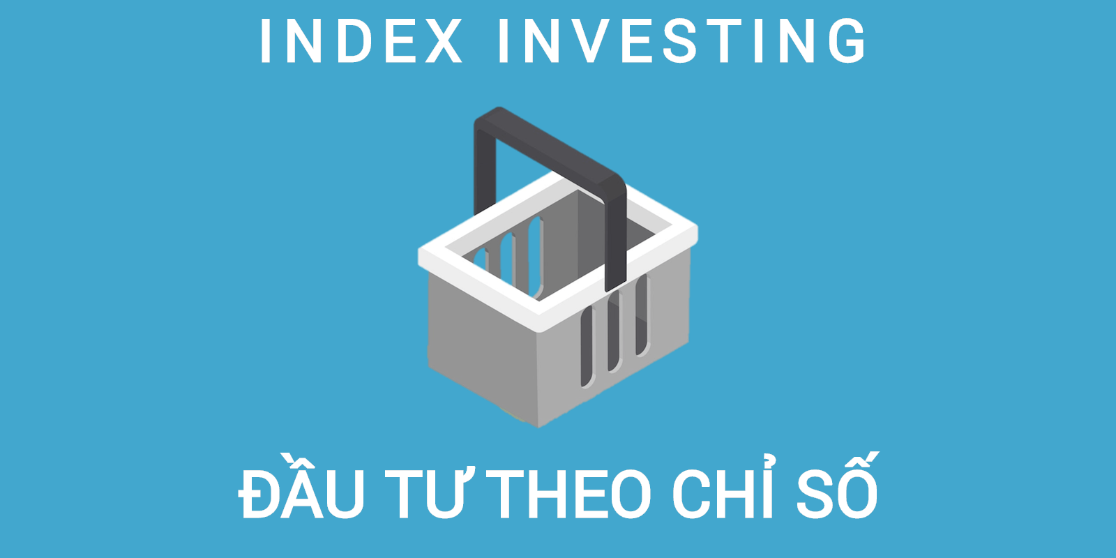 Chiến lược theo chỉ số (Index Investing)