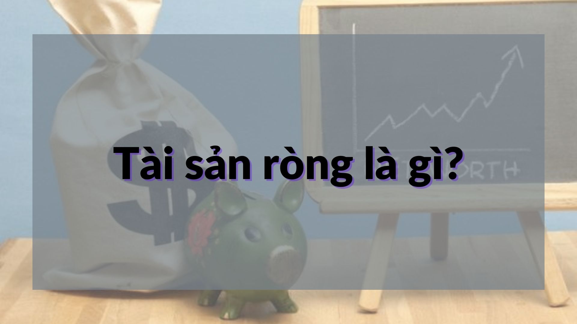 Tài sản ròng