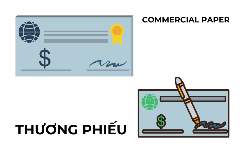 Thương Phiếu Là Gì