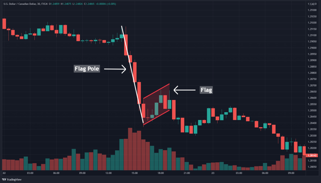 Bear Flag