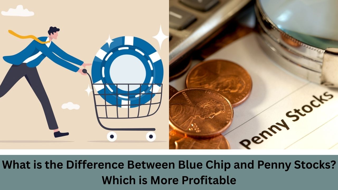Blue-chip Và Penny