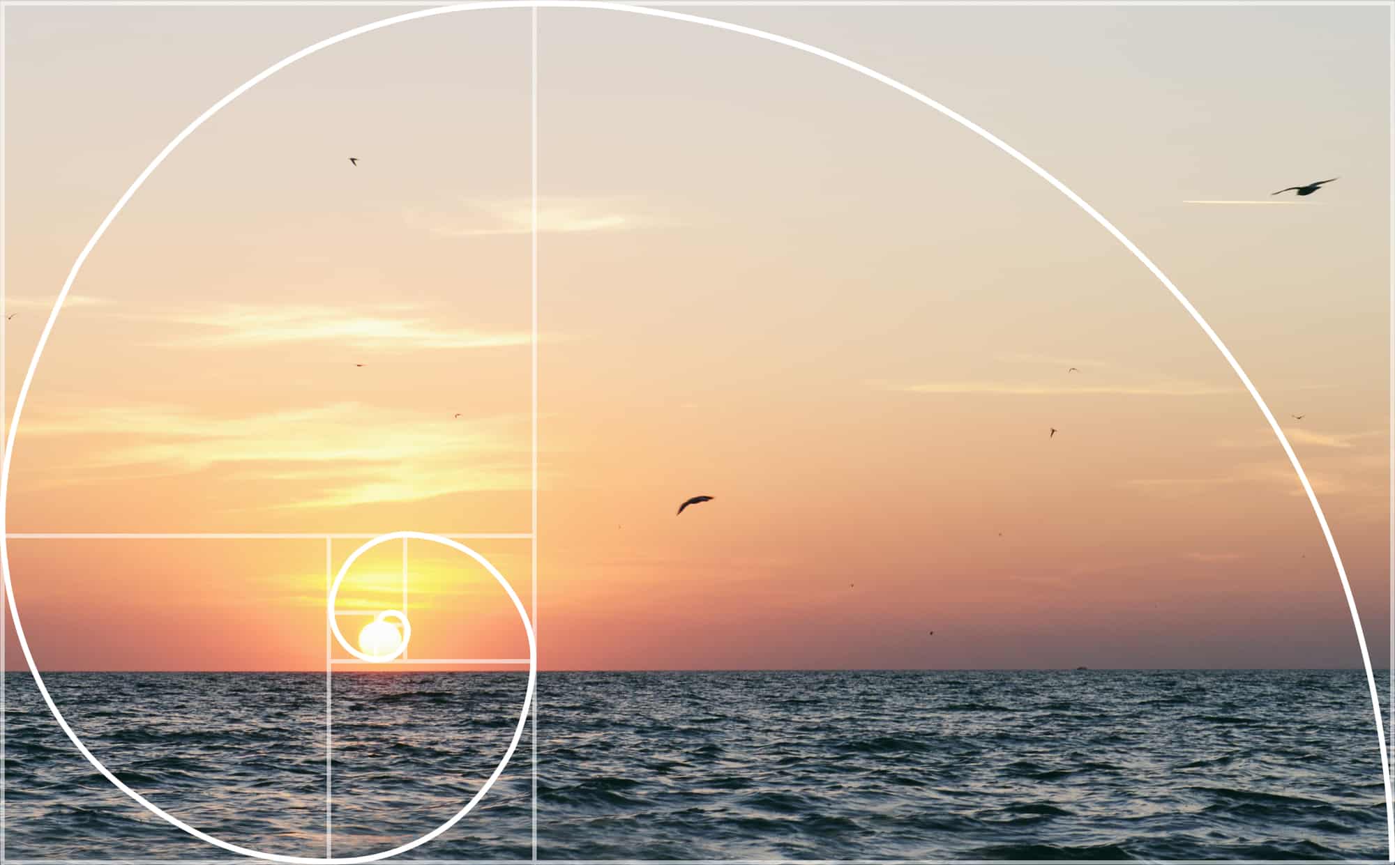 Dãy Fibonacci: Thông tin, Nguồn gốc, Đặc điểm và Ứng dụng trong Phân tích Kỹ thuật 3 Golden Ratio