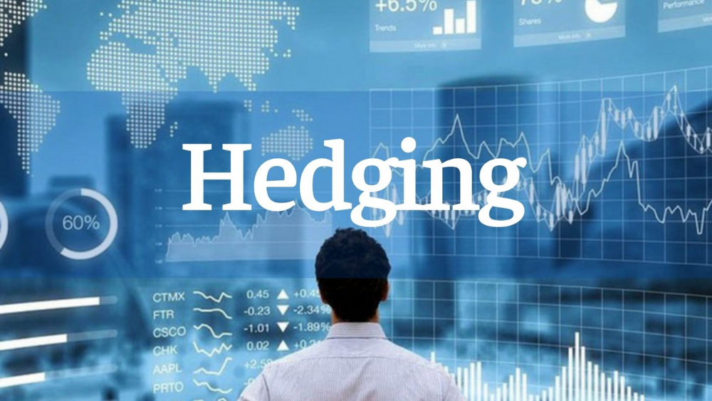 Hedge Là Gì