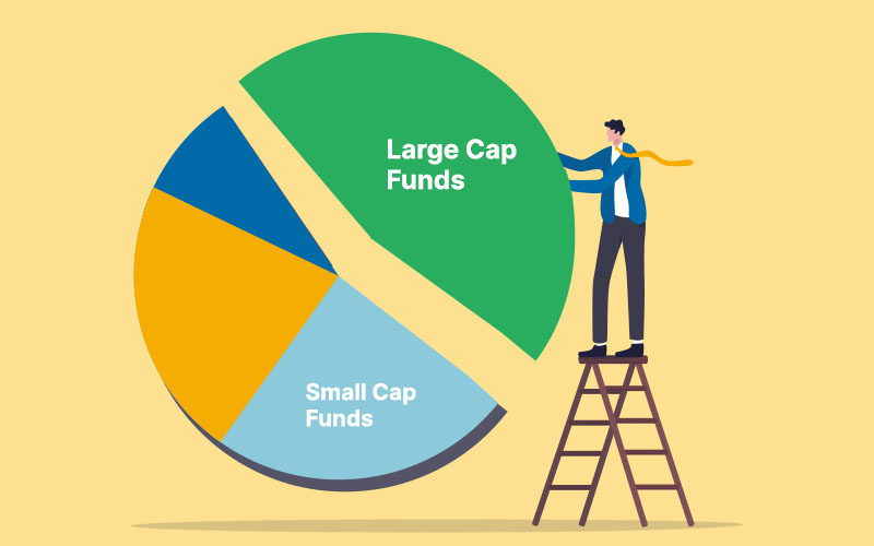 Large‑Cap