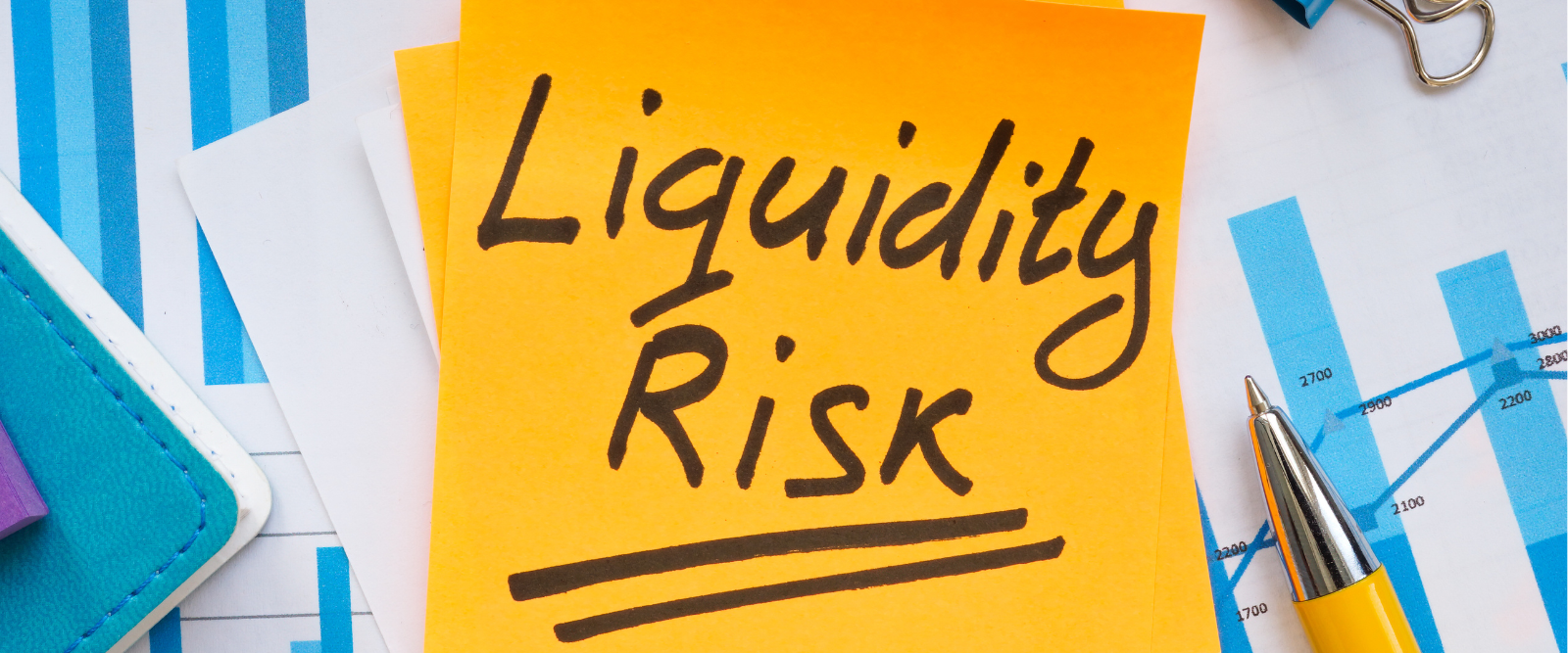Liquidity Risk
