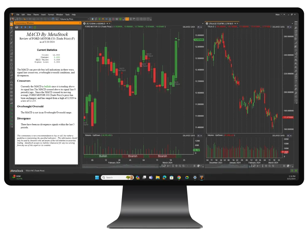 MetaStock