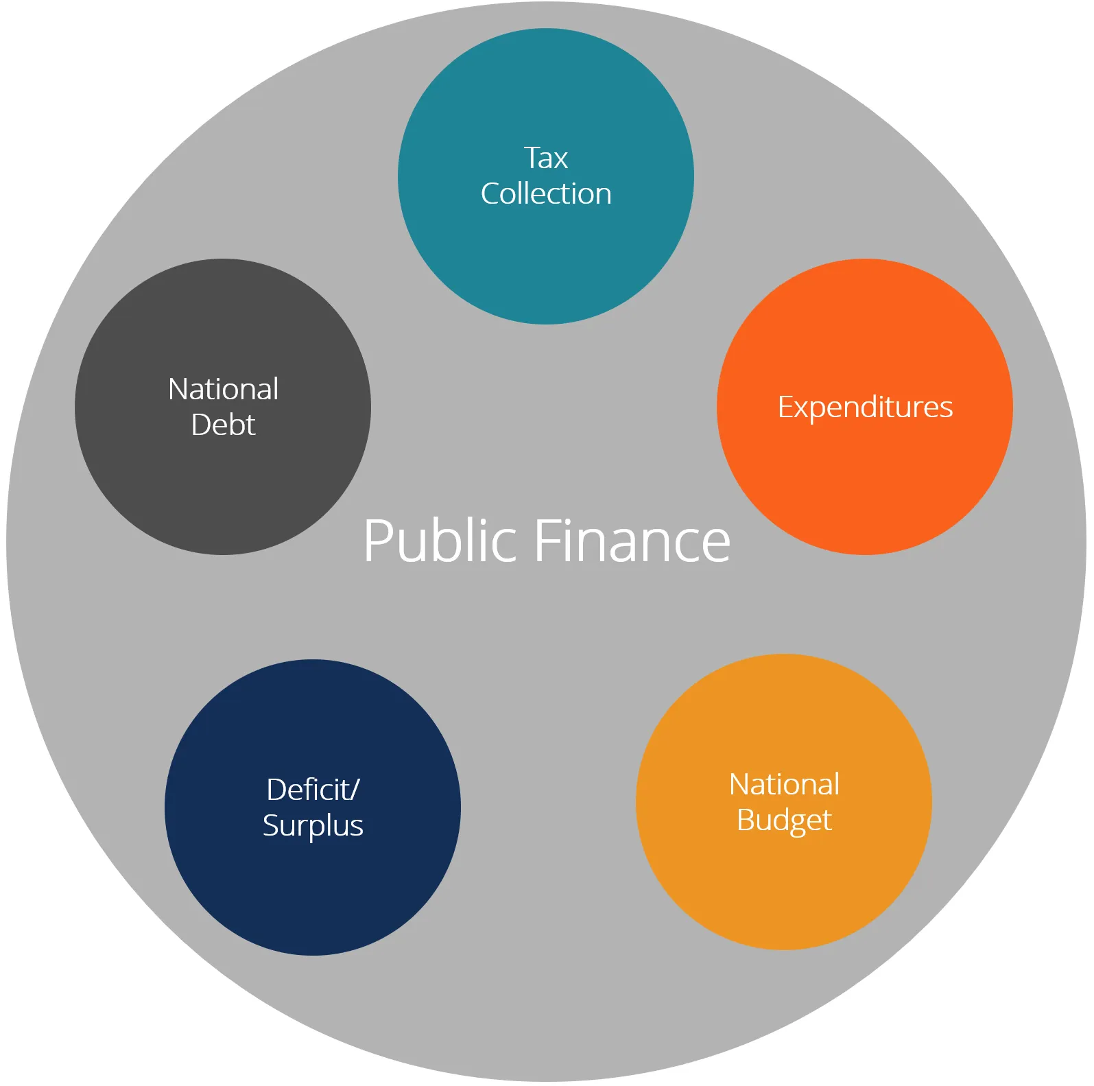 Public Finance