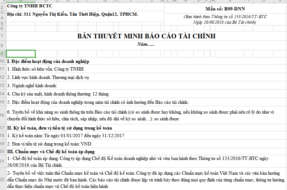 Mẫu Thuyết Minh Báo Cáo Tài Chính