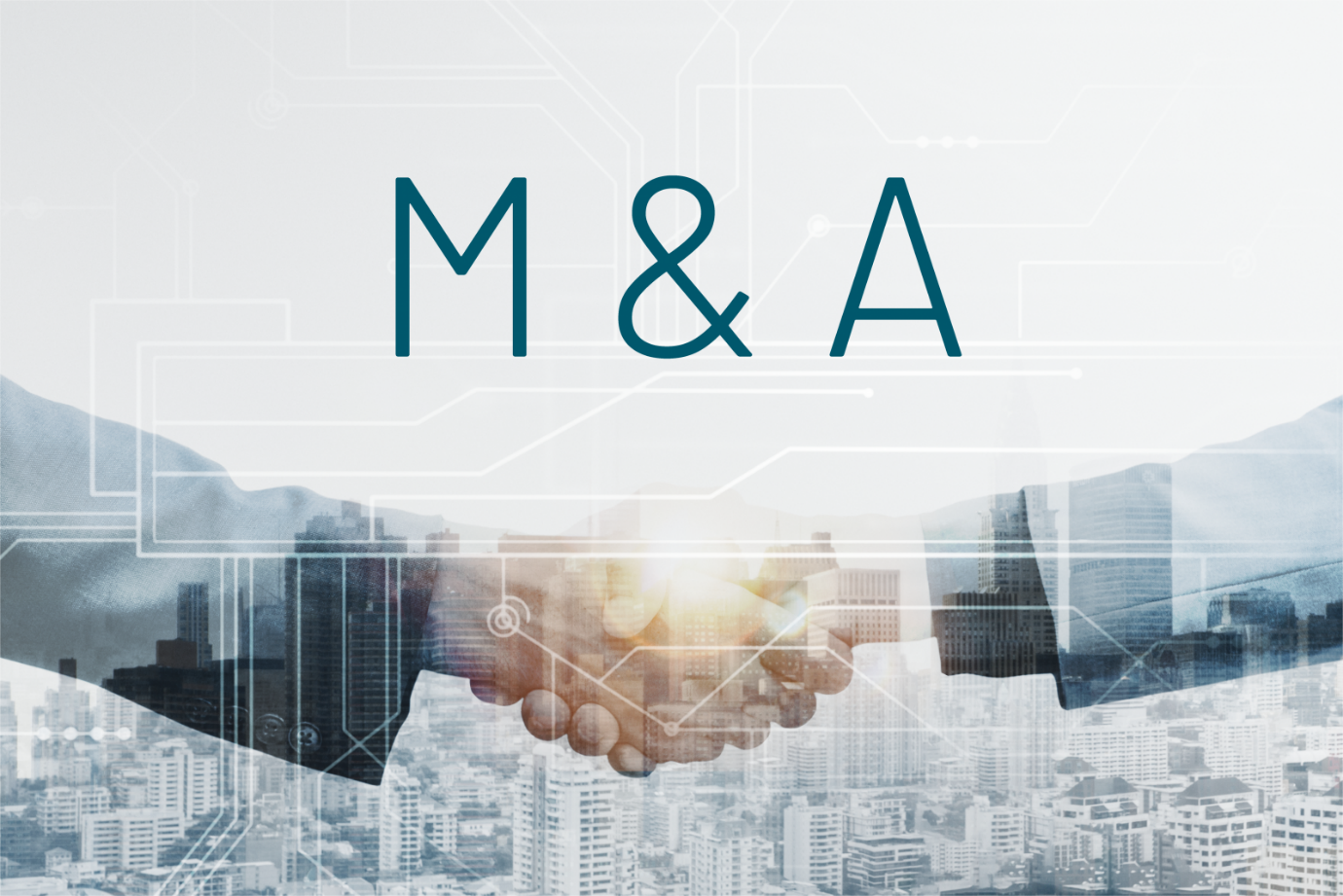 Chiến Lược M&A