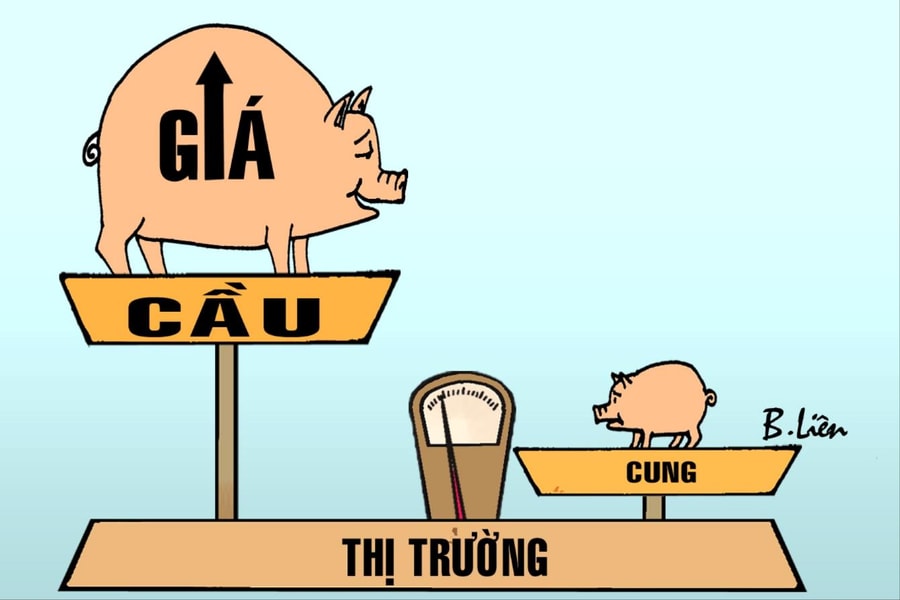 cung nho hon cau