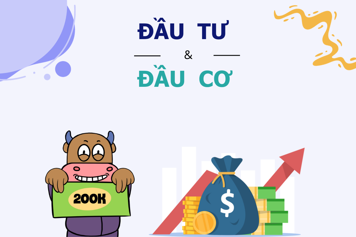 "Đầu Tư" Và "Đầu Cơ"