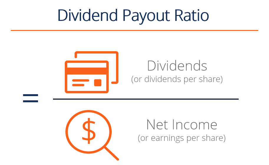 Dividend Payout Ratio