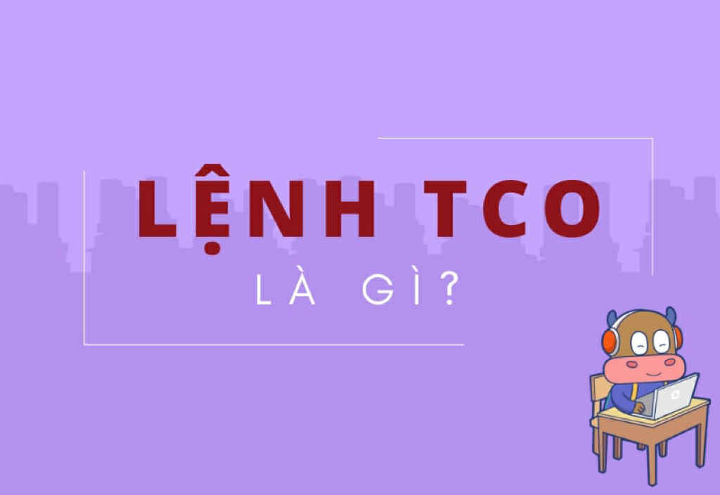 Lệnh TCO Là Gì? Bí Quyết Tối Ưu Hóa "Vũ Khí" Chốt Lời, Cắt Lỗ Tự Động Với Phân Tích Kỹ Thuật 1 Lệnh TCO
