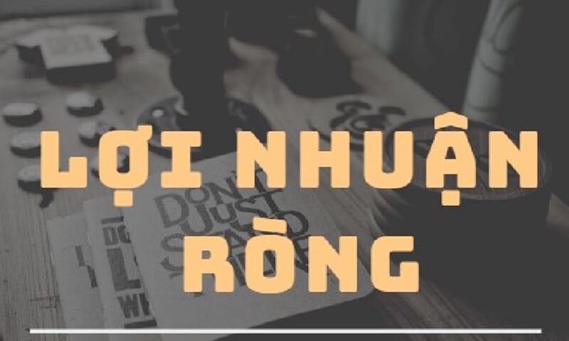 Lợi Nhuận Ròng