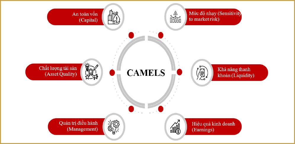 Mô Hình CAMELS Là Gì