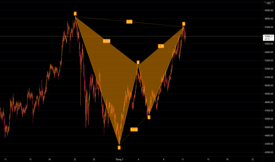 Mô Hình Cánh Bướm