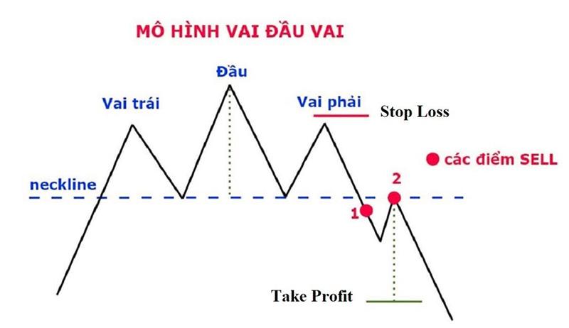 Mô Hình Vai Đầu Vai Là Gì