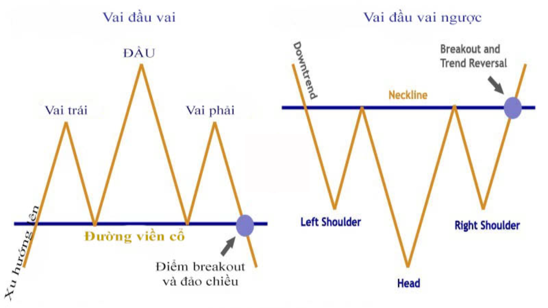 Mô Hình Chuẩn Và Mô Hình Ngược