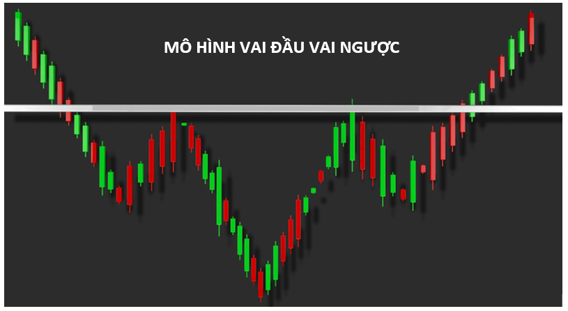 mô hình vai đầu vai ngược