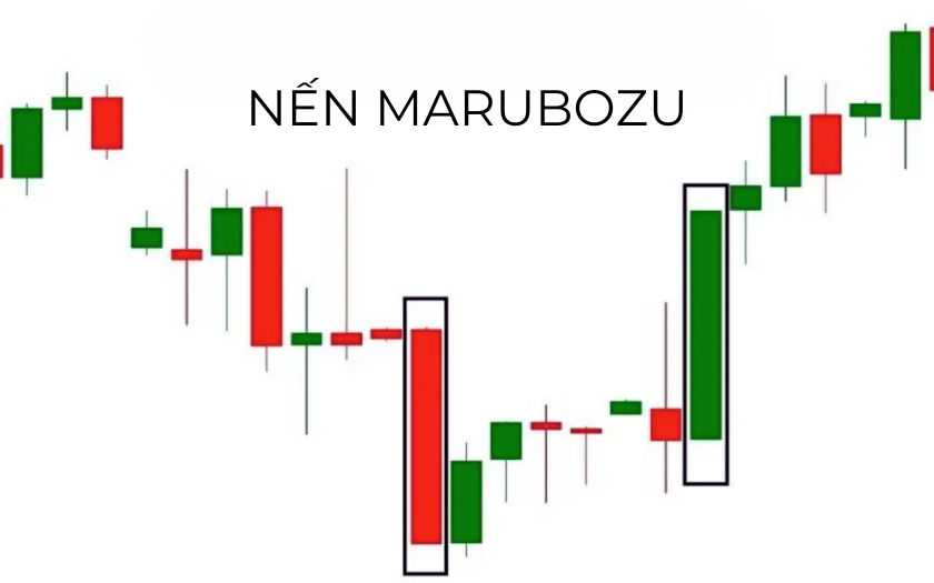 Marubozu