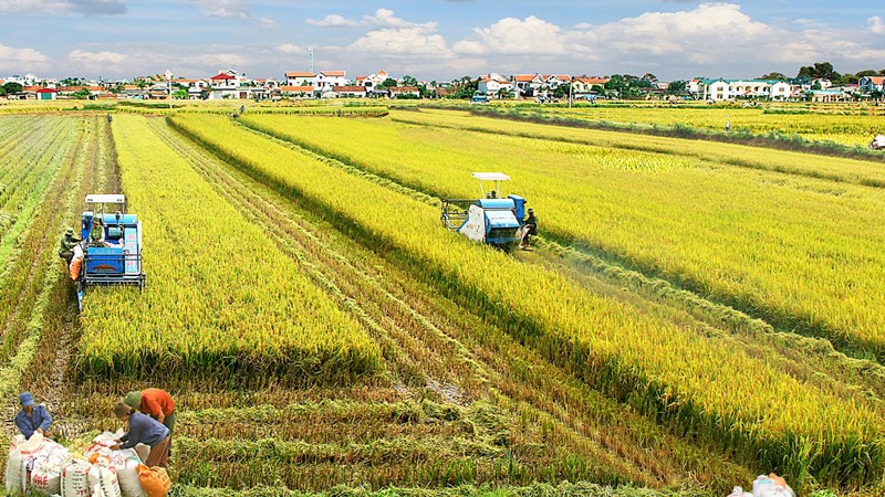 ngành nông nghiệp