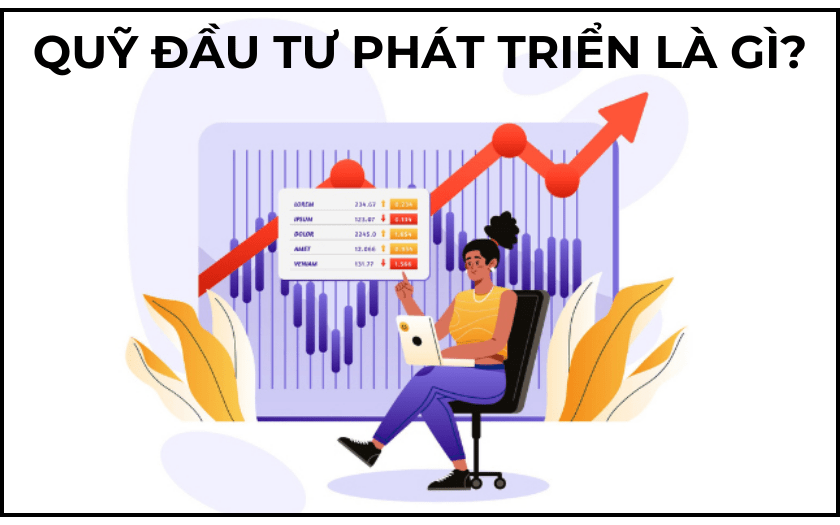 Quỹ Đầu Tư Phát Triển