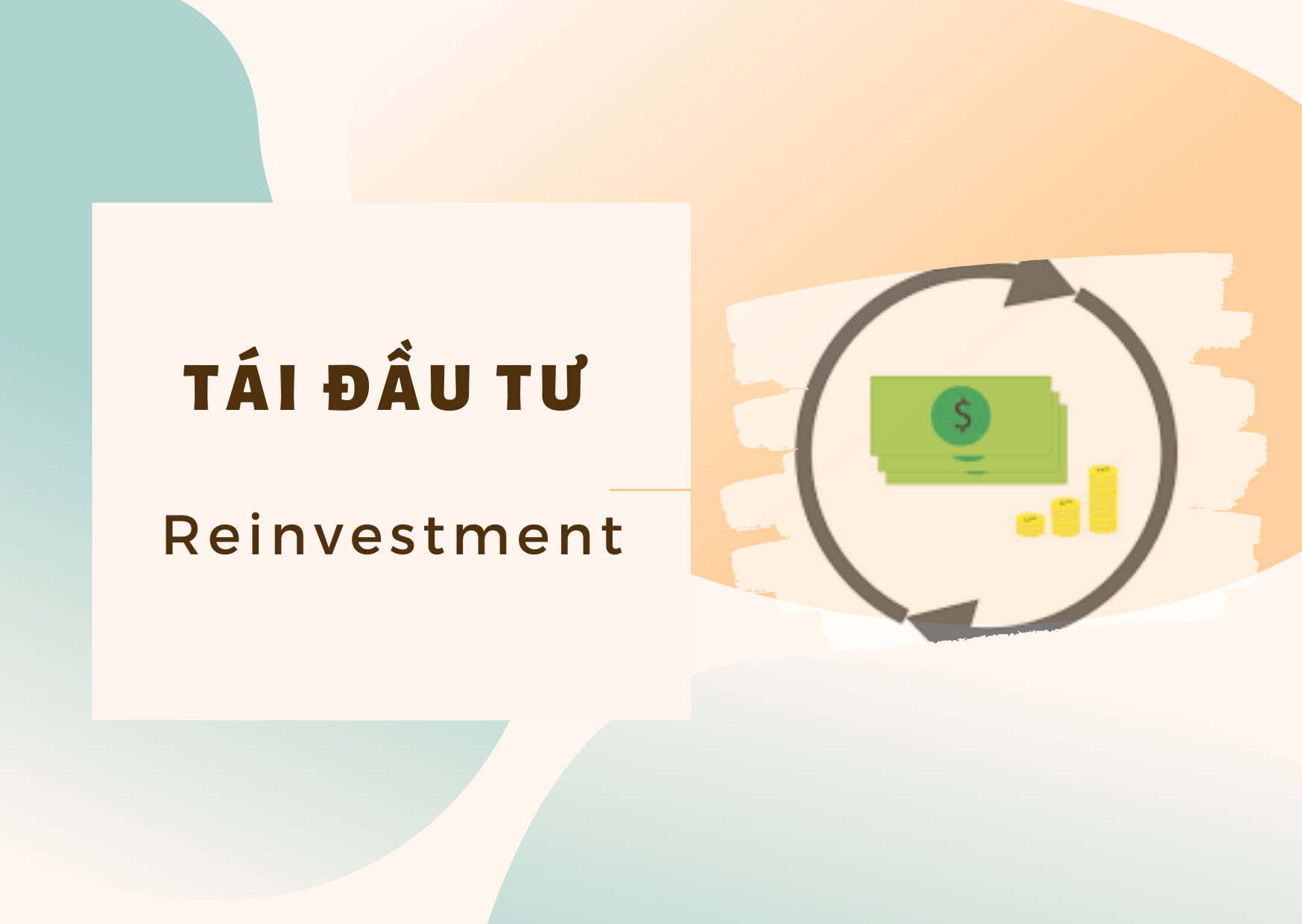 Tái Đầu Tư