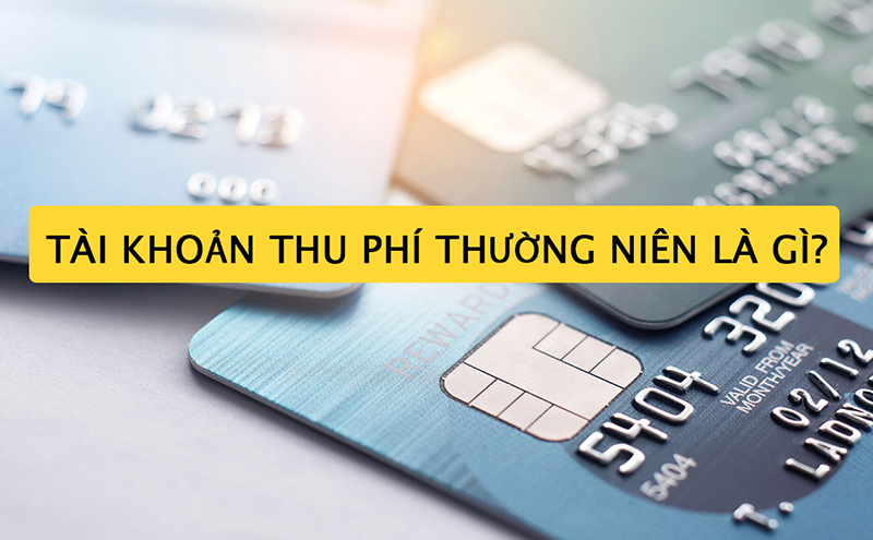 Tài Khoản Thu Phí Thường Niên Là Gì