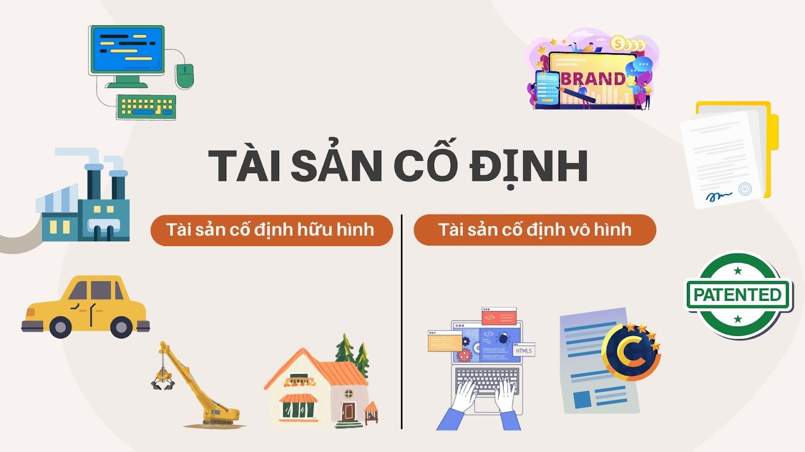 Tài sản cố định hữu hình và Tài sản cố định vô hình