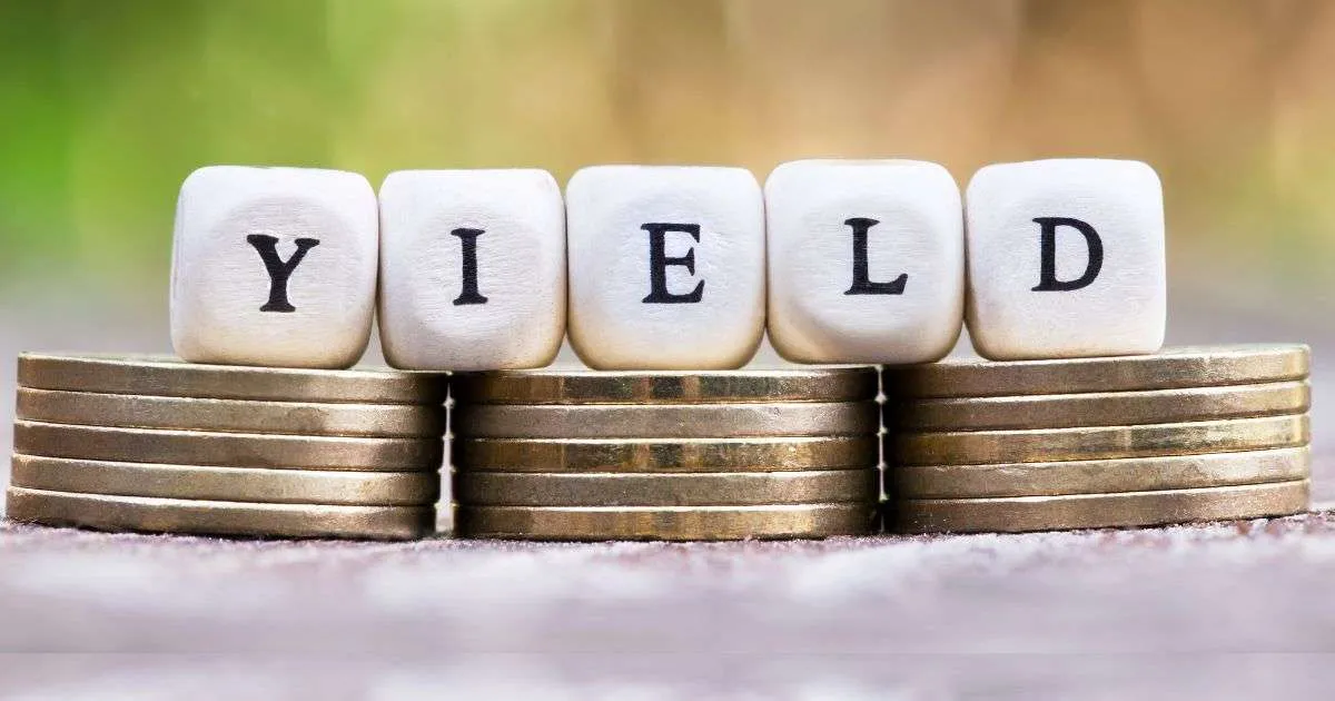 yield la gi