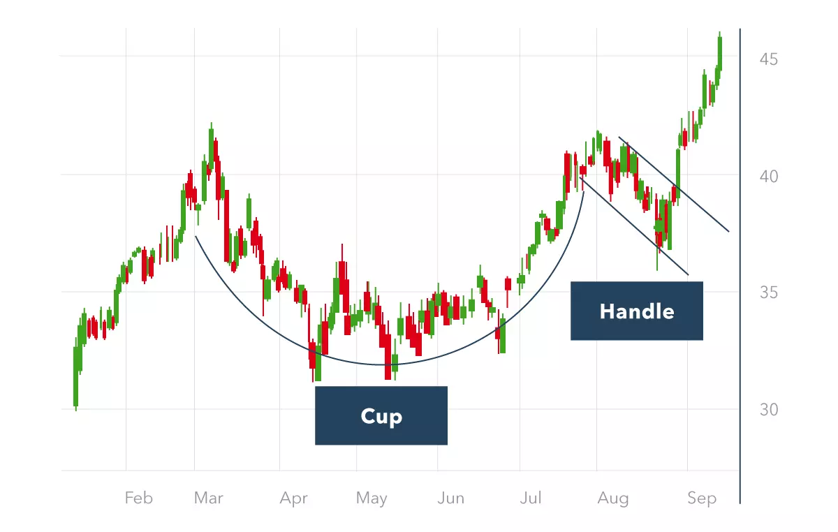 Cup With Handle