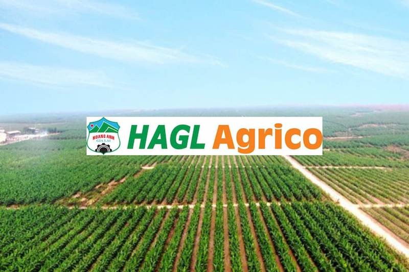 HAGL Agrico