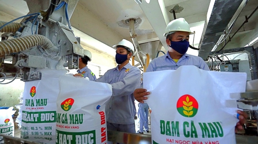 Cổ phiếu DCM (PVCFC): Thông tin, Phân tích Tài chính, Đánh giá Tiềm năng và Rủi ro đầu tư 11 NPK