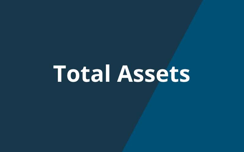 Total Assets