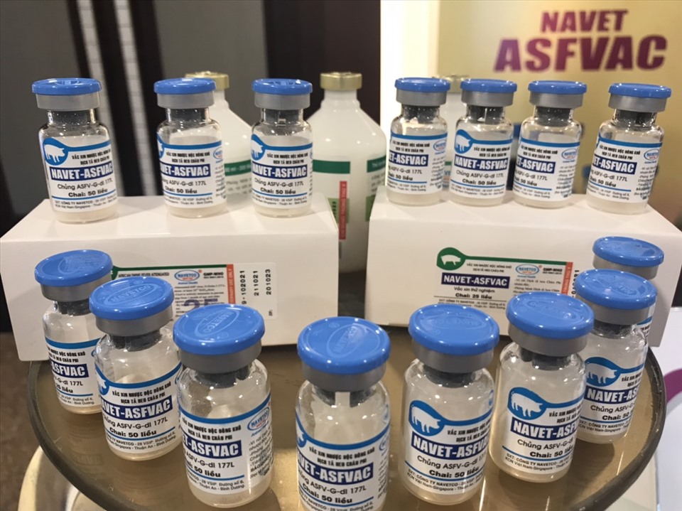 Vắc-xin Dịch tả lợn Châu Phi (ASF)