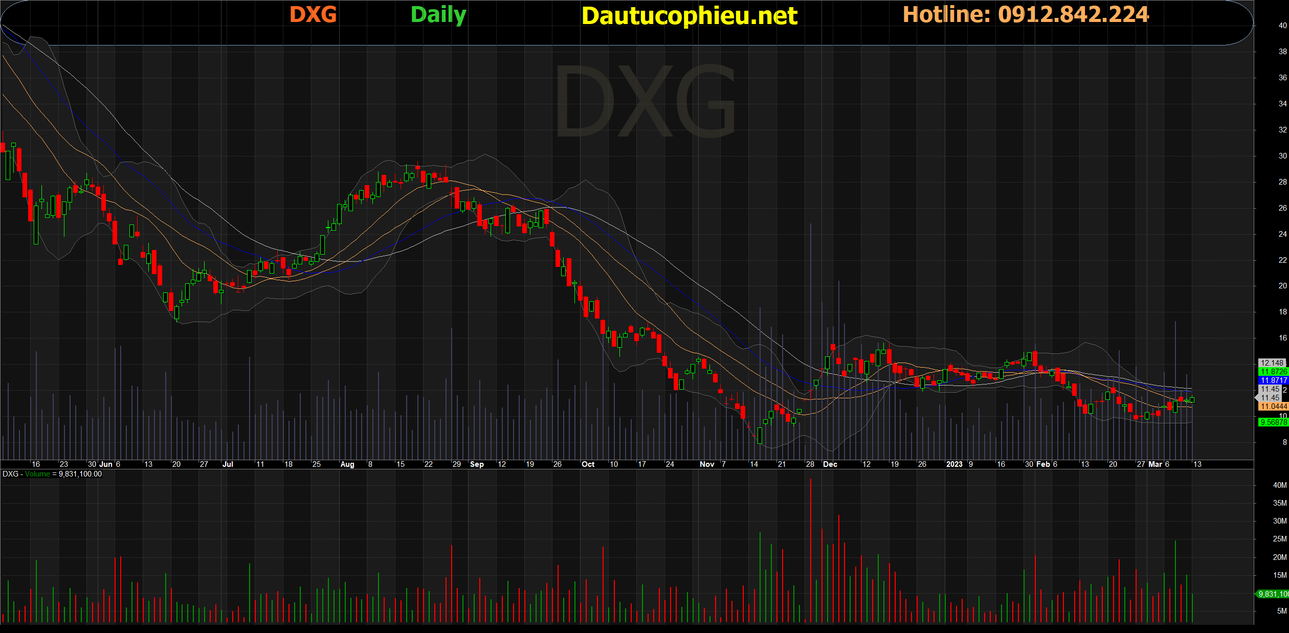 Cổ Phiếu DXG