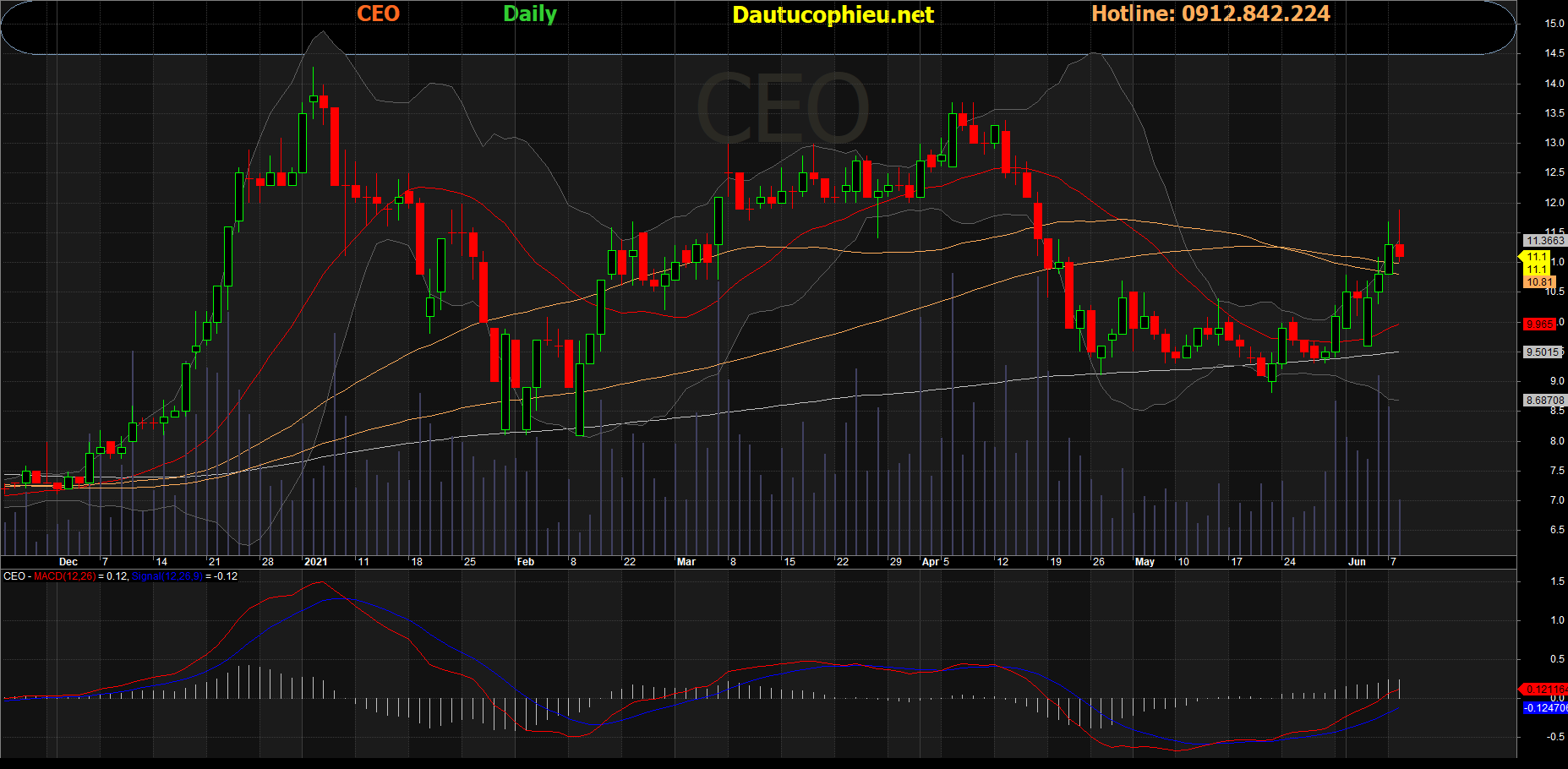 Cổ phiếu CEO: Thông tin, Phân tích Tiềm năng, Biểu đồ và Nhận định Đầu tư 2 Cổ phiếu CEO