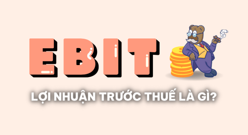 Lợi Nhuận Trước Thuế