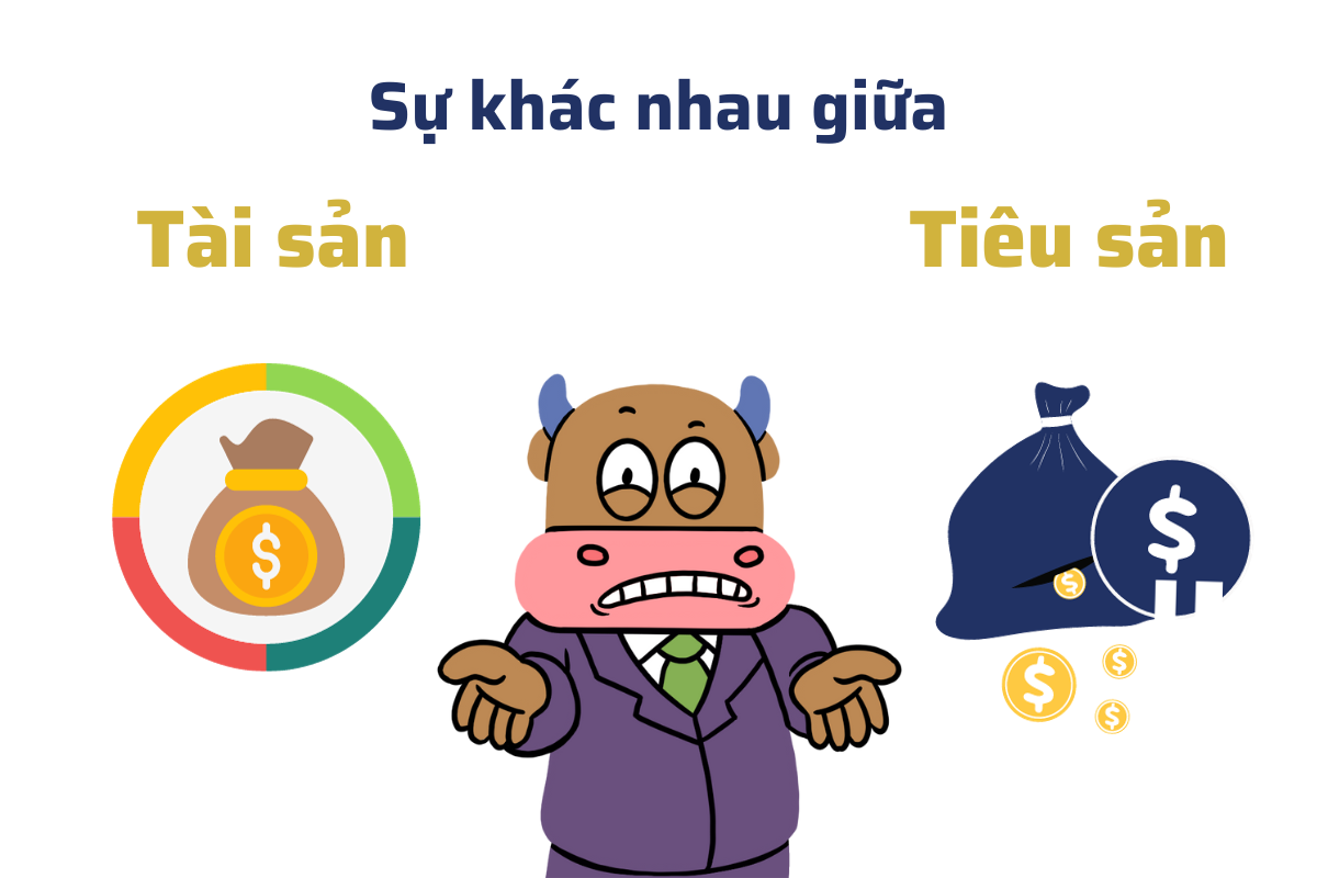 phân biệt giữa tài sản và tiêu sản