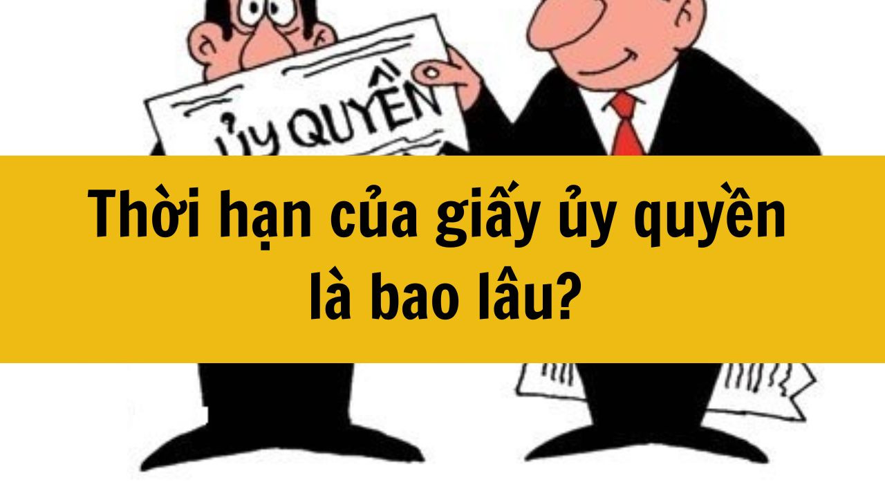 Thời Hạn Ủy Quyền