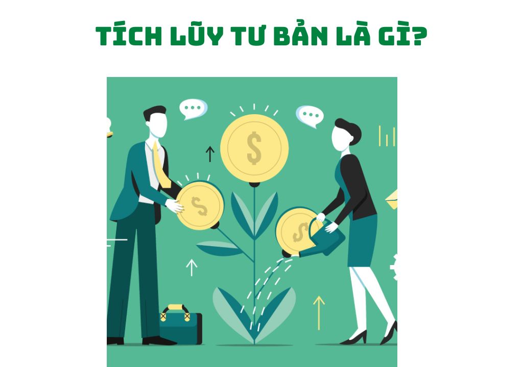 Tích Lũy Tư Bản Là Gì