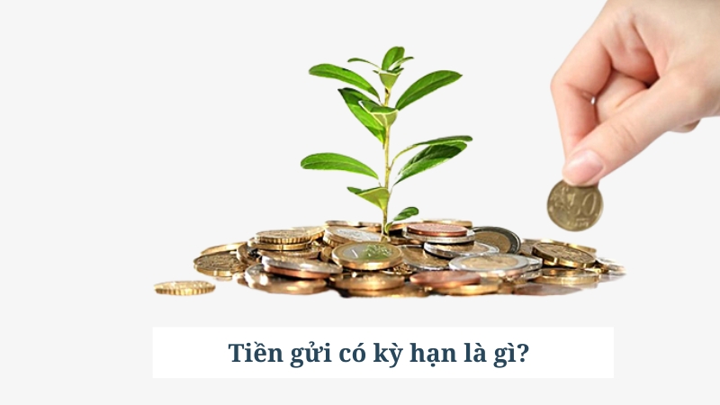 Tiền Gửi Có Kỳ Hạn Là Gì