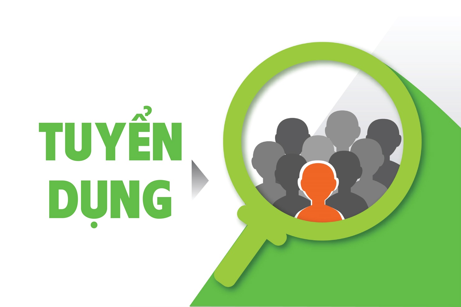 Tuyển Dụng Tài Chính