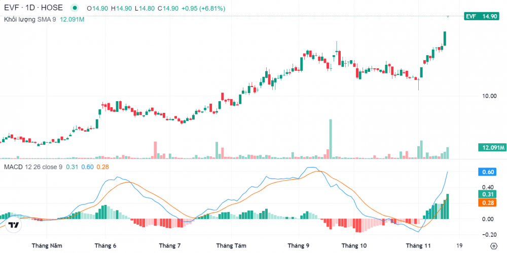 Cổ phiếu EVN