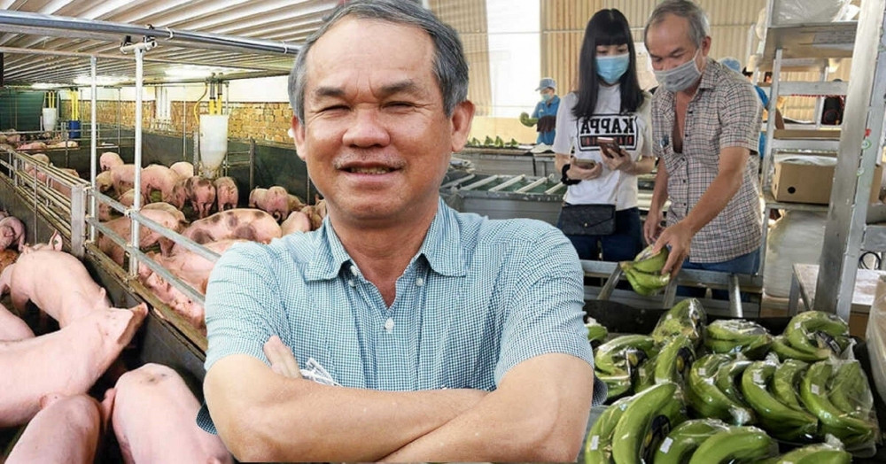 Lợi nhuận của HAG