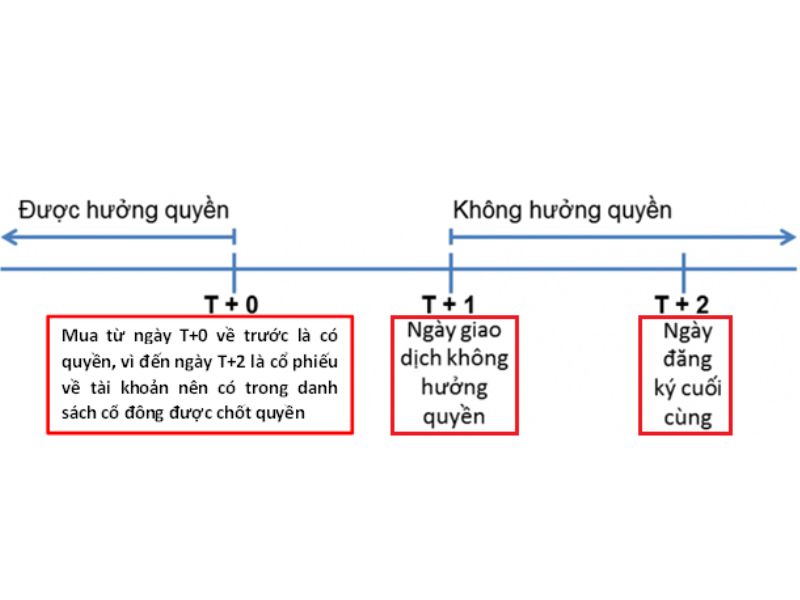 Ngày giao dịch không hưởng quyền