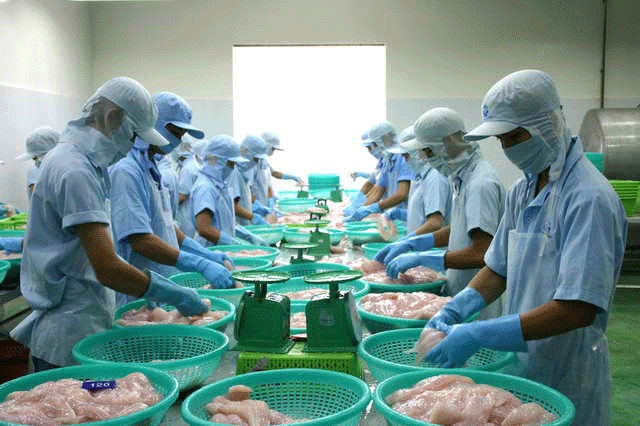 Cổ phiếu CCA: Thông tin doanh nghiệp, Đặc điểm tài chính, Tiềm năng đầu tư và Cách giao dịch hiệu quả 4 Cổ phiếu CCA